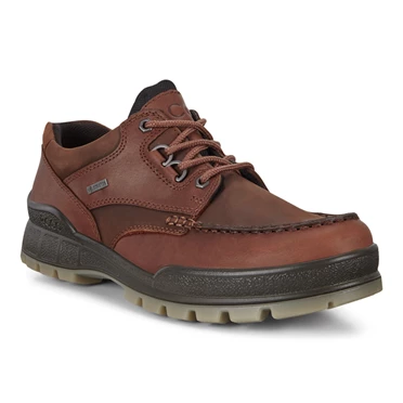 Ecco Track 25 Low Tops Casual Sko Herre Brune | WPENBJ-863